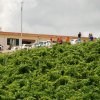 Partanna 2010 (572)